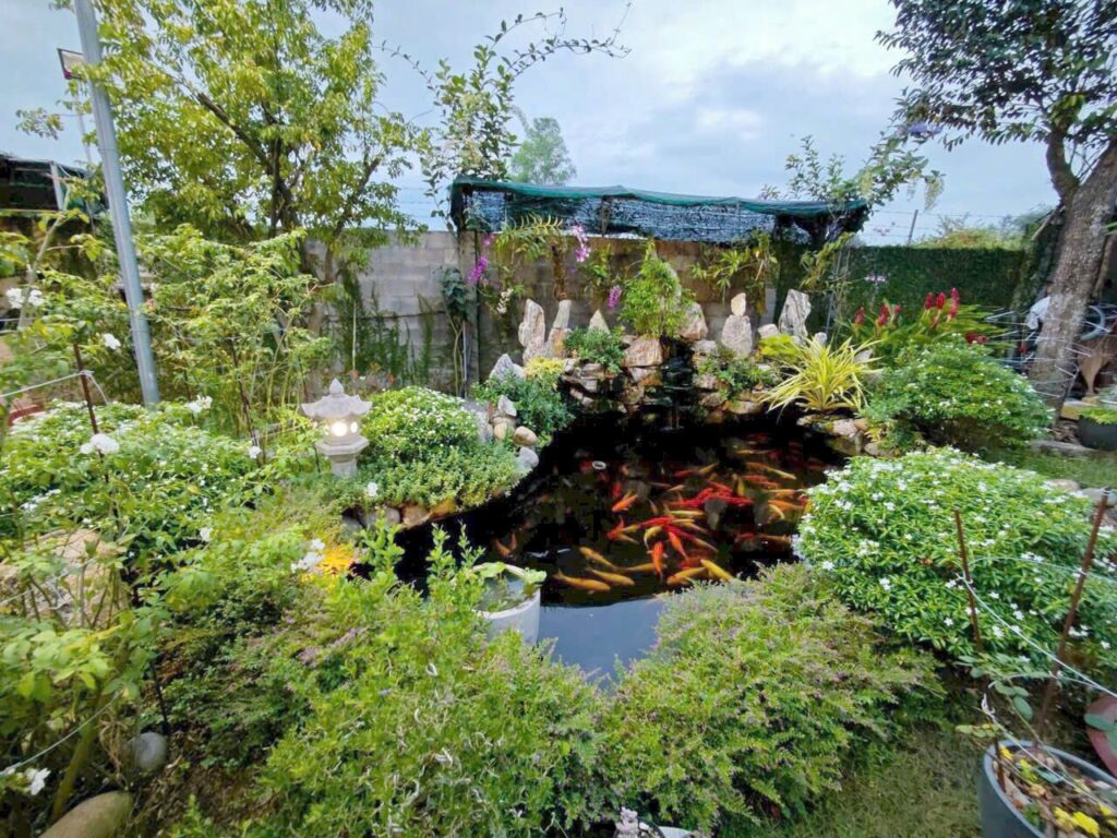 Bán nhà vườn Xã Phú Hòa Đông – ảnh 5/13