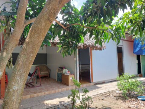 Bán nhà vườn mặt tiền đường Nguyễn Thị Dây – 1010m2 – 16×63 – xã Tân Thạnh Tây – Củ Chi