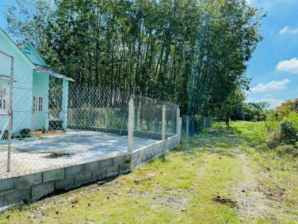 Bán nhà riêng Xã Thái Mỹ – ảnh 5/5