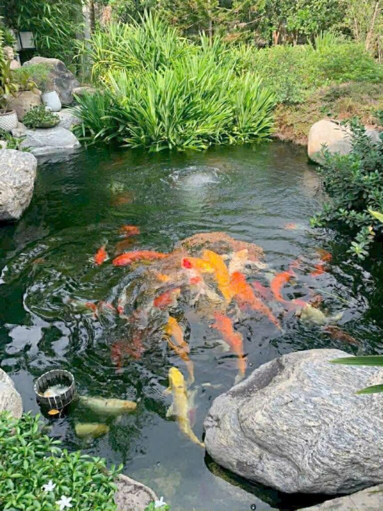 Bán nhà riêng Xã Củ Chi – ảnh 6/19