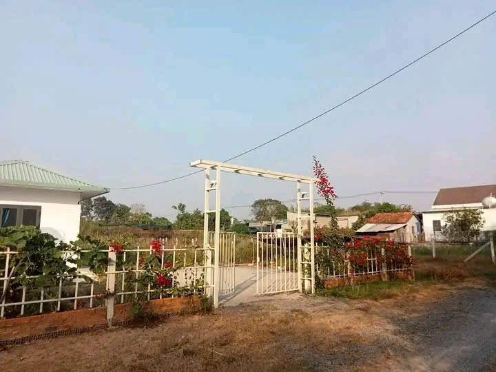 Bán nhà vườn Xã Thái Mỹ – ảnh 7/11