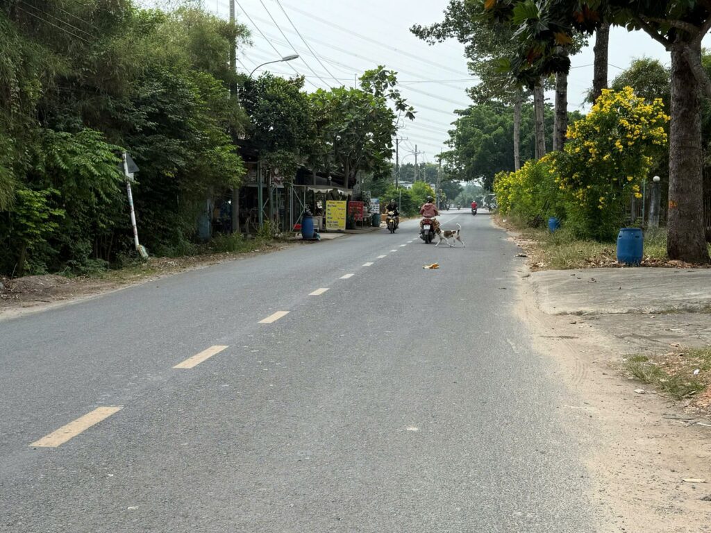 Bán dãy phòng trọ Xã Bình Mỹ – ảnh 6/6