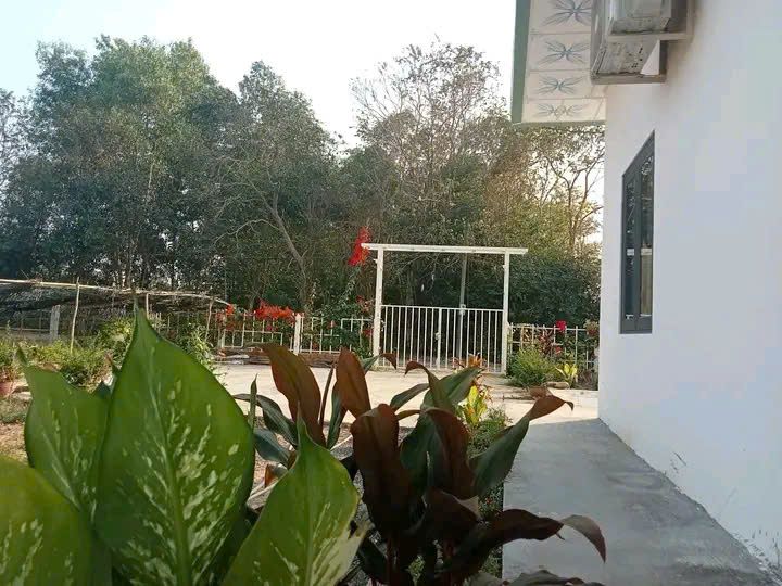 Bán nhà vườn Xã Thái Mỹ – ảnh 8/11