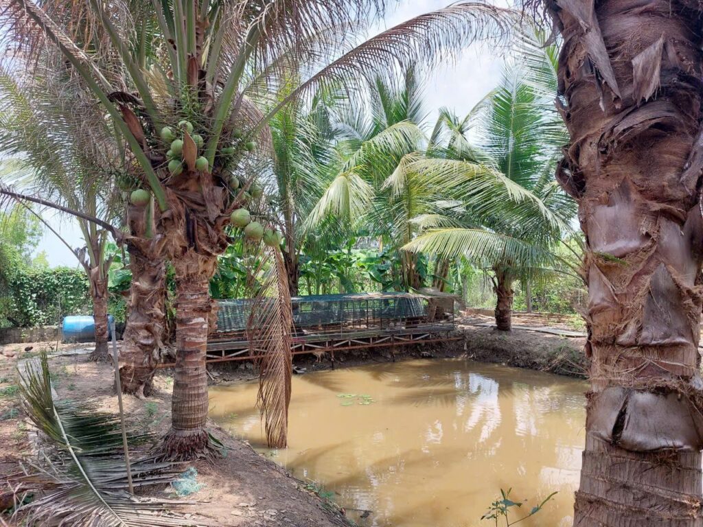 Bán nhà vườn Xã Phú Hòa Đông – ảnh 8/12