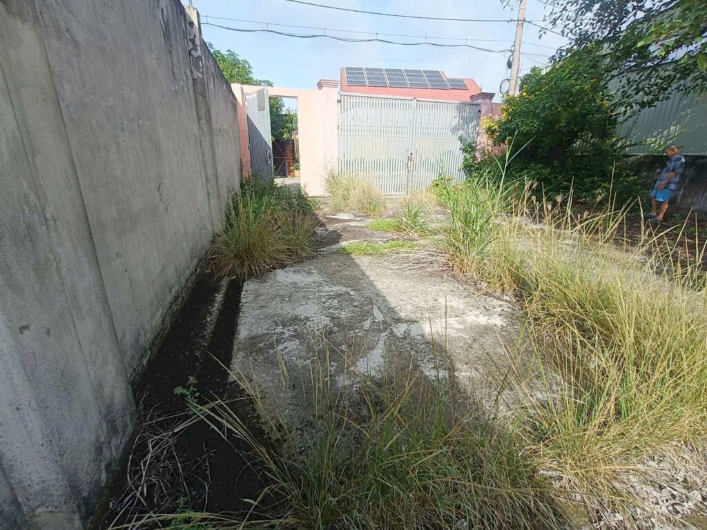 Bán nhà vườn Xã Củ Chi – ảnh 5/8