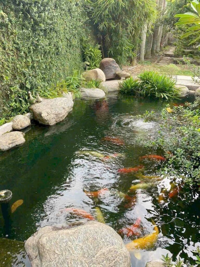 Bán nhà riêng Xã Củ Chi – ảnh 11/19