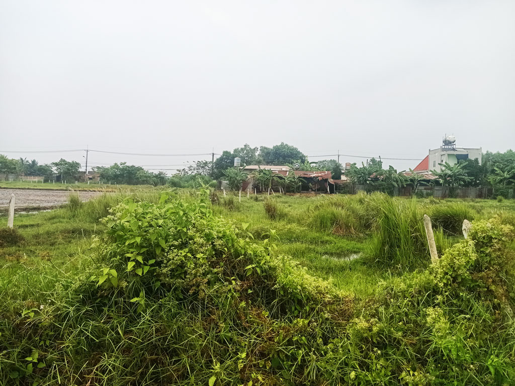 Bán đất thổ cư Xã Thái Mỹ – ảnh 1/5