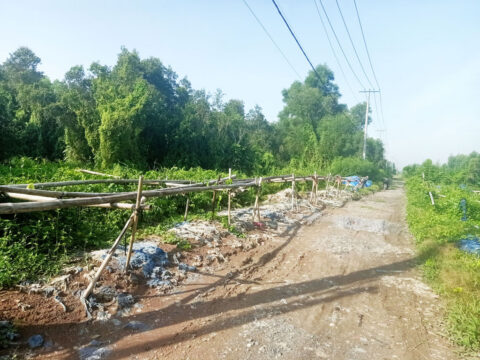 Đất view kênh 14 1/ đường Tam Tân – 2559m2 – 46×60 – xã Tân An Hội – Củ Chi