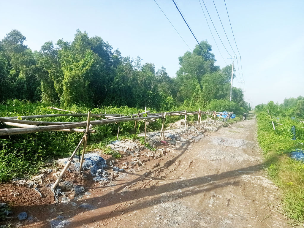 Bán đất nông nghiệp, đất vườn Xã Tân An Hội – ảnh 1/4