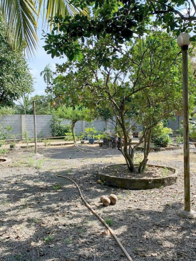 Bán nhà riêng Xã Củ Chi – ảnh 12/19