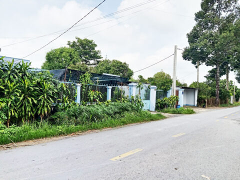 Nhà mặt tiền đường Bùi Thị Điệt – 810m2 – 14×59 – 214m2 thổ cư – xã Phạm Văn Cội – Củ Chi
