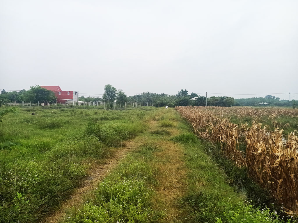 Bán đất thổ cư Xã Thái Mỹ – ảnh 3/5