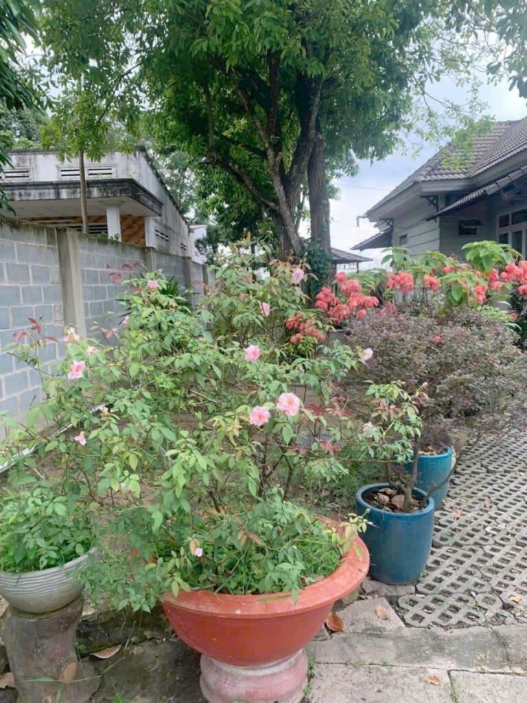 Bán nhà riêng Xã Củ Chi – ảnh 14/19