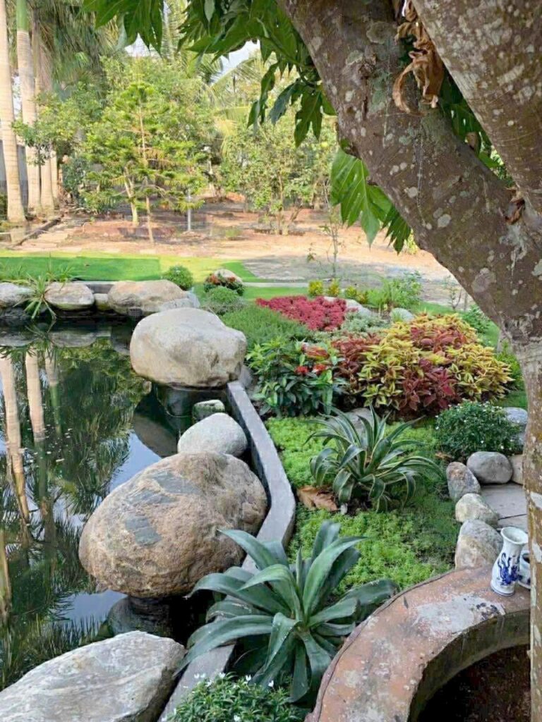 Bán nhà riêng Xã Củ Chi – ảnh 16/19