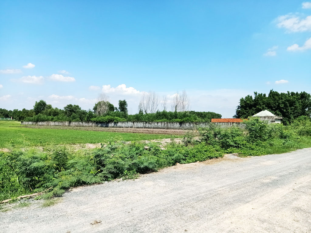 Bán đất nông nghiệp, đất vườn Xã Thái Mỹ – ảnh 6/7