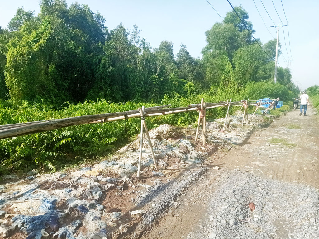 Bán đất nông nghiệp, đất vườn Xã Tân An Hội – ảnh 4/4