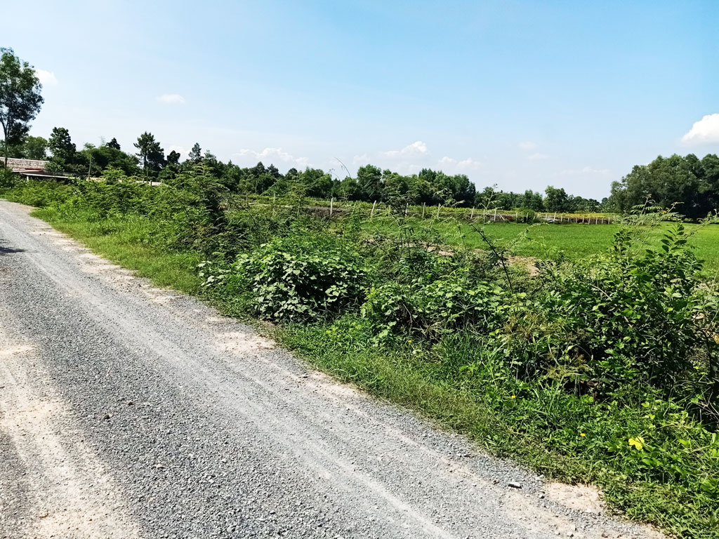 Bán đất nông nghiệp, đất vườn Xã Thái Mỹ – ảnh 7/7
