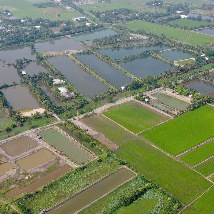 Đầu tư đất Củ Chi 2026: giá từng xã, thổ cư hay đất vườn