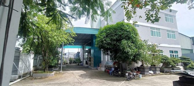 Cho thuê kho, nhà xưởng Xã Củ Chi – ảnh 1/5