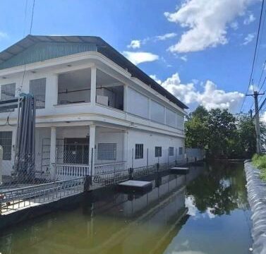 XƯỞNG 7.000M² – PCCC TỰ ĐỘNG TRẠM ĐIỆN 560KVA CONTAINER LƯU THÔNG 24/24