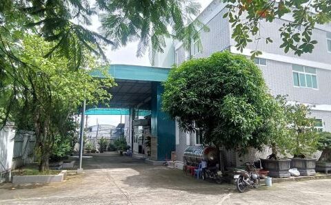 CHO THUÊ KHO XƯỞNG 5.400M² – GẦN QUỐC LỘ 22, CỦ CHI GIÁ CỰC RẺ