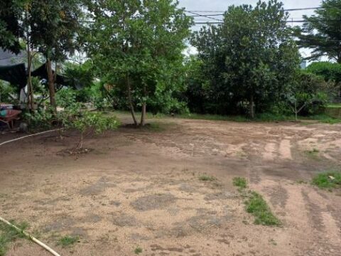 CHÍNH CHỦ BÁN GẤP NHÀ ĐẤT MT BÙI THỊ ĐIỆT, CỦ CHI. GIÁ 17 TỶ