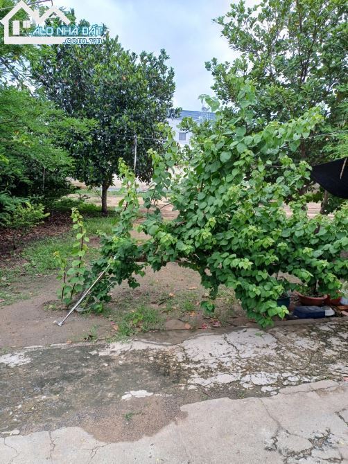 Bán nhà mặt tiền Xã Nhuận Đức – ảnh 3/3