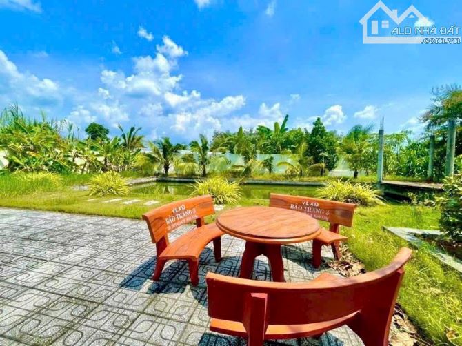 Bán nhà vườn Xã An Nhơn Tây – ảnh 5/8