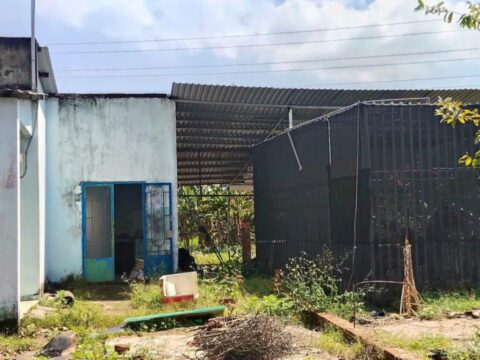 Đất 2/ đường Huỳnh Thị Dần – 699m2 – 15.68×50 – 41m2 thổ cư – xã Bình Mỹ – Củ Chi