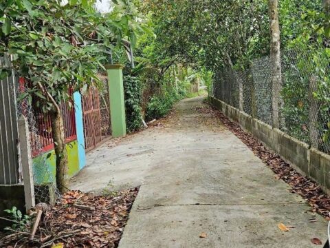 Đất 1/ đường Đỗ Thị Nhặt – 263m2 – 10×25 – 35m2 thổ cư – xã Trung An – Củ Chi