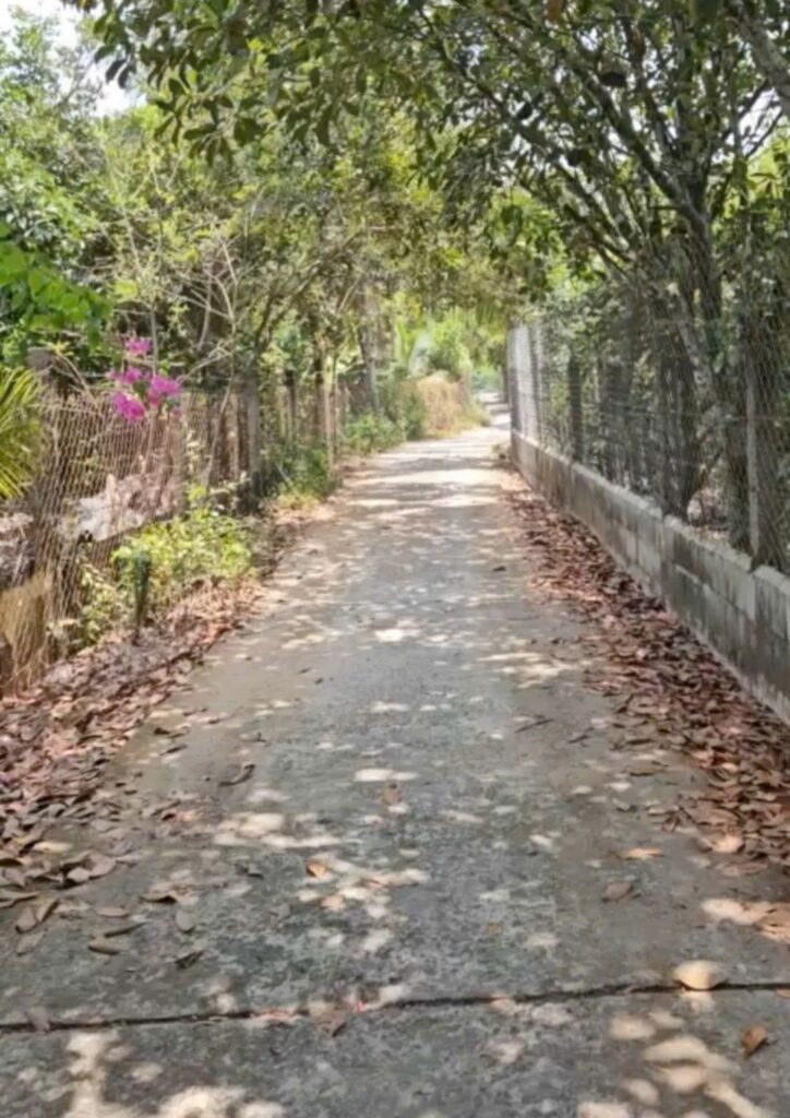 Bán đất thổ cư Xã Bình Mỹ – ảnh 4/4