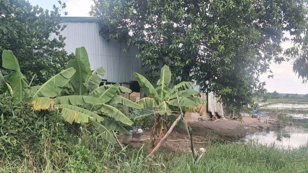 Bán nhà vườn Xã Phú Hòa Đông – ảnh 1/5