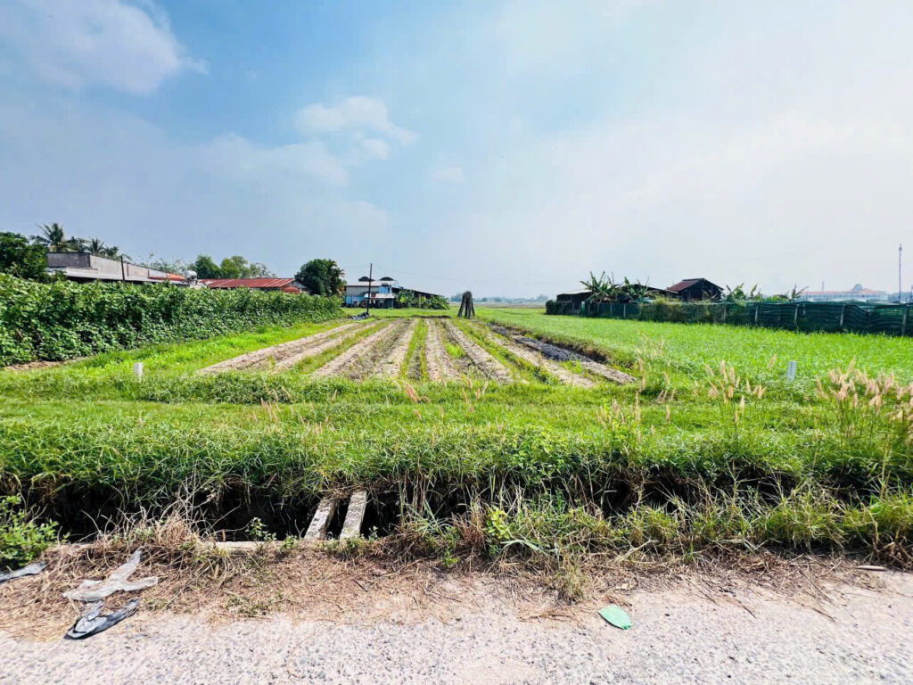 Bán đất thổ cư Xã Thái Mỹ – ảnh 2/5