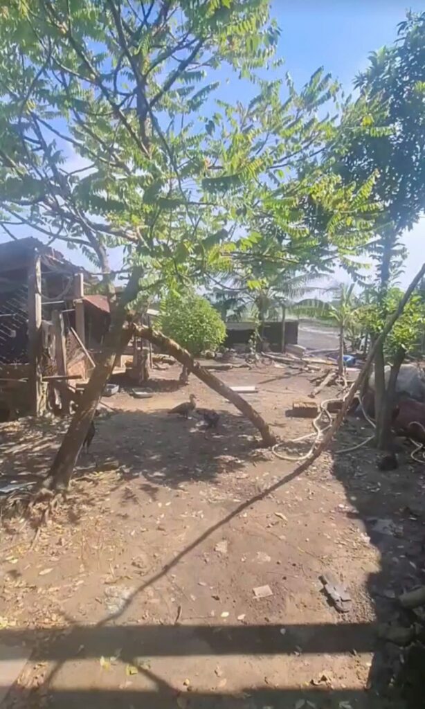 Bán nhà vườn Xã Phú Hòa Đông – ảnh 4/5