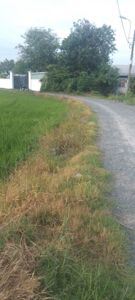 Bán đất thổ cư Xã Thái Mỹ – ảnh 1/3